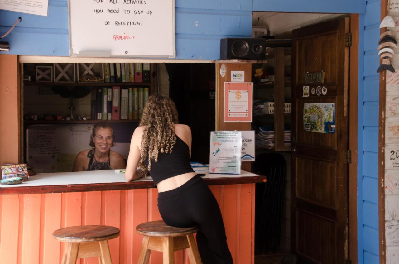Spanish By The Sea - Bocas โบกัสทาวน์ ภายนอก รูปภาพ